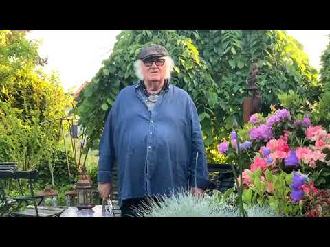 FOCUS fans a message from Thijs Van Leer