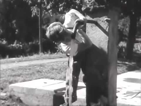 Archiv | 1952 | Informationsfilm: Wasser in Gefahr | Condor Films - seit 1947