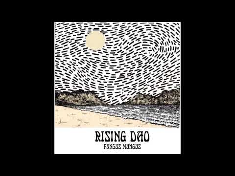 Rising Dao _-°-_ Fungus Mungus (Full Album 2018)