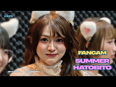 ( Fancam Summer HatoBito - Flickering Light ) 30.11.25 : nyANdERfUL!