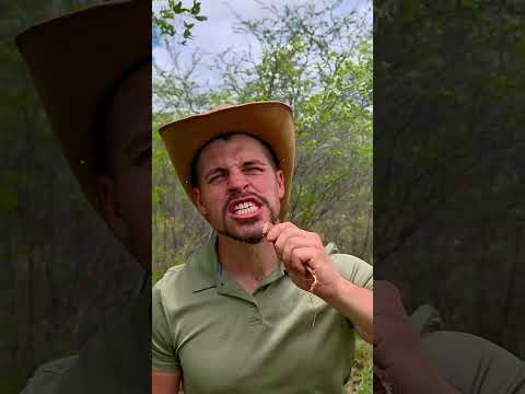 Tribal Food Leaves British Man Amazed