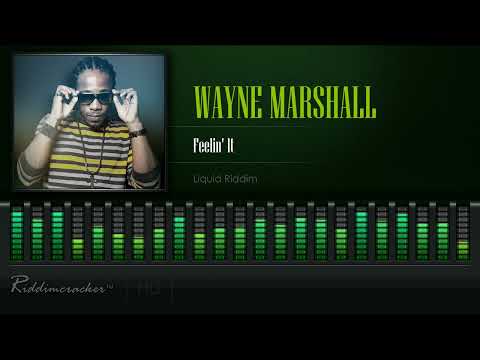 Wayne Marshall - Feelin' It (Liquid Riddim) [HD]