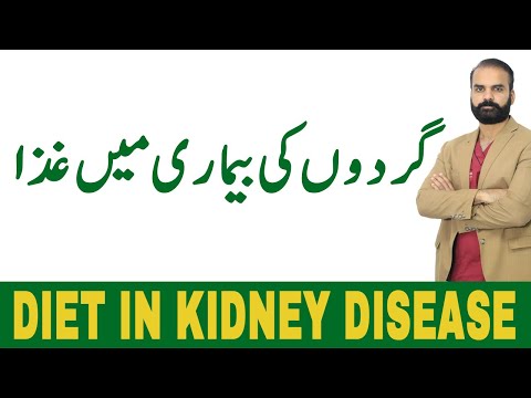 Diet For Kidney Infection & Failure in Urdu | Diet For Kidney Patients Gurde K Mareez K Liye Khurak
