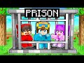 Nico Is LOCKED In PRISON In Minecraft!