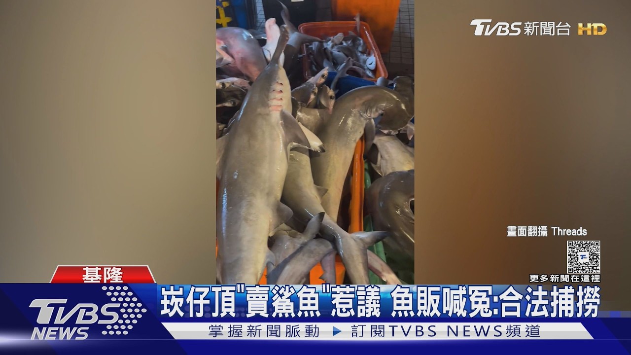 影音/崁仔頂魚市驚見「整箱鯊魚」!攤商喊冤 漁業署揭可合法販售