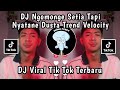 DJ TARLING DAYUNI DI GOYANG SAYANG TREND VELOCITY VIRAL TIKTOK 2025