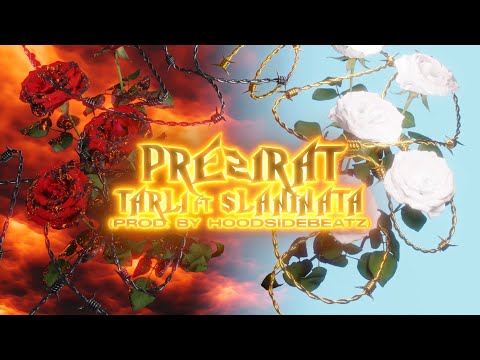 TARLI ft. FAMINO - PREZIRAT (OFFICIAL VISUALIZER)