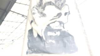 Das Herz von St. Pauli: das Millerntor singt Hans Albers Klassiker