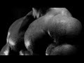 Huge Alpha Close MUSCLES