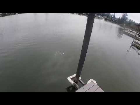 Sonic v2 prop testing.   ABC prop