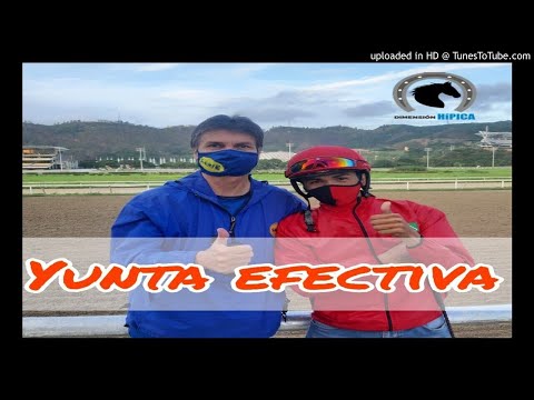 Vida video