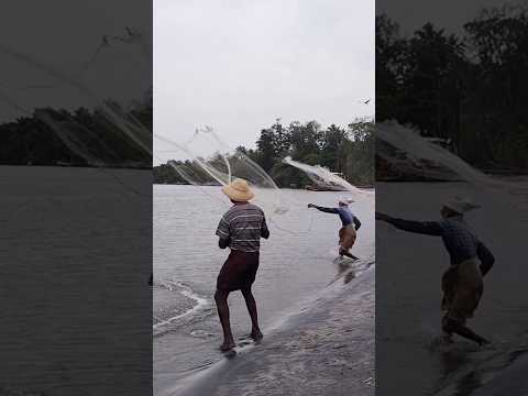 Fishermen👦🎣 catching 🐠🐋🐟 Kollam Kerala #shorts #viral #trending #fishing 🎣#beach
