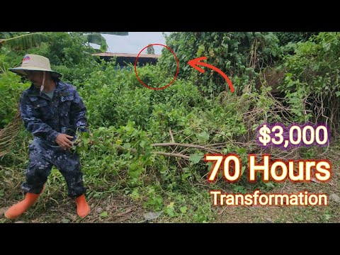 From Jungle Ruins to Hidden Treasure — The $3,000 House 70​ Hours of Huge Transformations