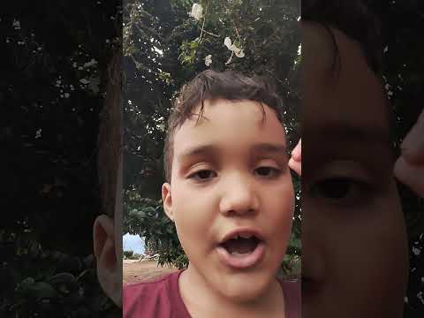 padre Carvalho Minas gerais