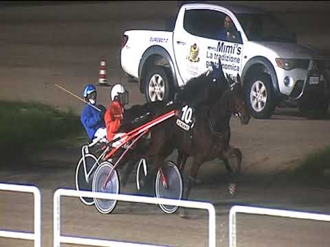 Trotto 02/11/2018 - 7ª corsa