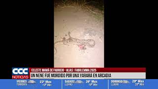 CELESTE MAMÁ DE FABRICIO