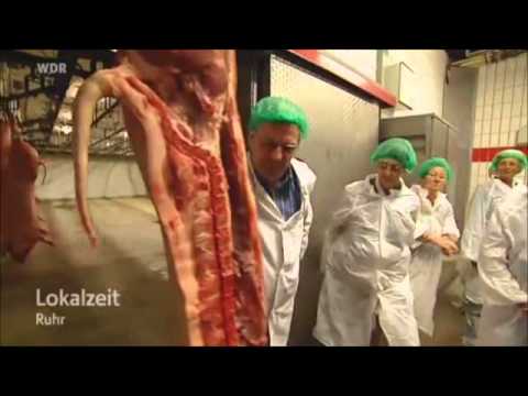 Bio-Fleischerei Burchhardt Bauernhoffahrt