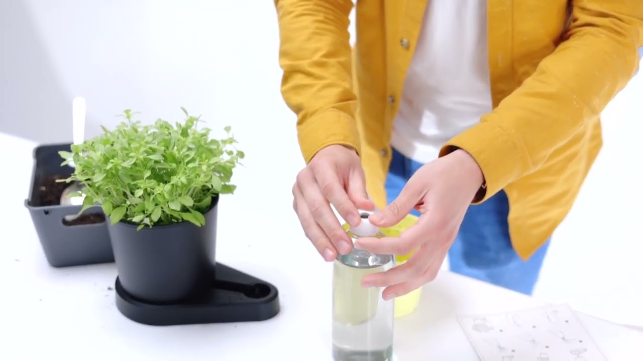 Greevi Kräuterheld Schwarz