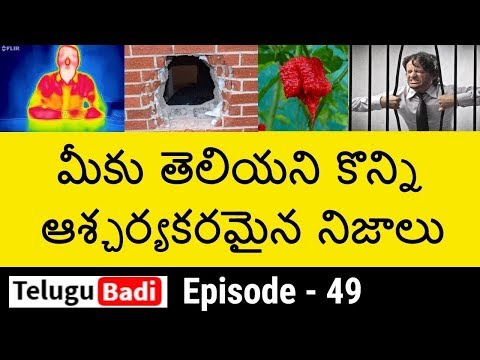 Episode 49 - unknown and amazing facts - top 10 facts