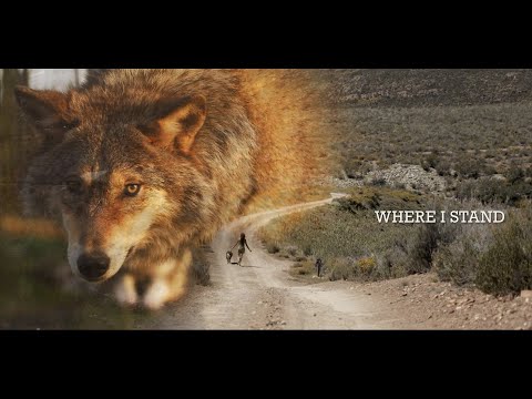 Tyler Wood - Where I Stand (Official Lyric Video)