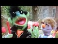 Classic Sesame Street Street Garden Cooperation