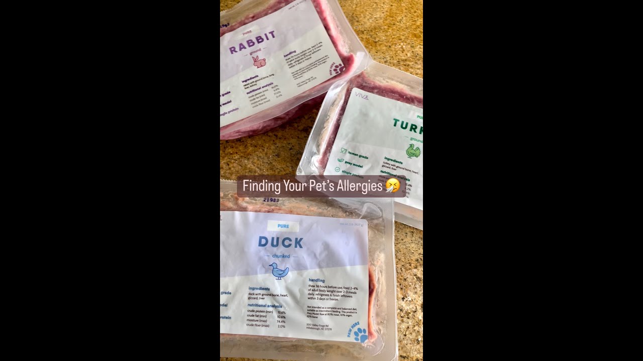 Elimination Diet for Cat/Dog Food Allergies 🤧