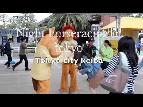 Night horseracing in tokyo -tokyo oi horse race track-
