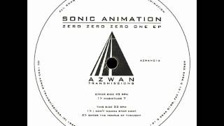 Sonic Animation - Enter The Temple Of Thought (1995)