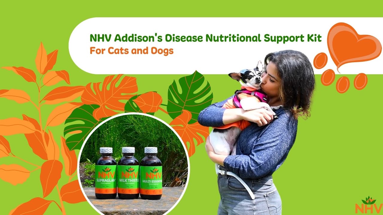 NHV Addison's Disease Nutritional Support Kit For Cats and Dogs