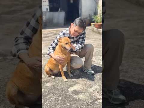 等你回家