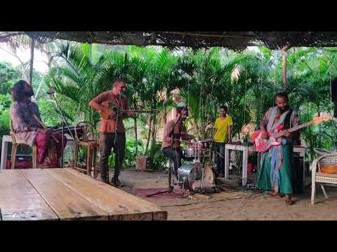 🌴Live Music on the GOA Beach | Flute, Guitar & Drums Jam at Anahata Retreat Resort, Ashwem, Morjim!