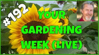 Tips for Buying Seeds (Q&A)