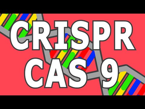 CRISPR/CAS 9 - Die Genschere erklärt