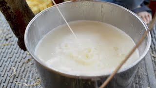 Milking A Cow | Jersey Butter | Raw Milk