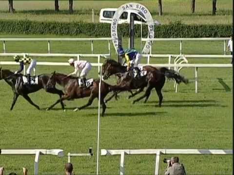 Premio Del Giubileo 2013 (GR 3)