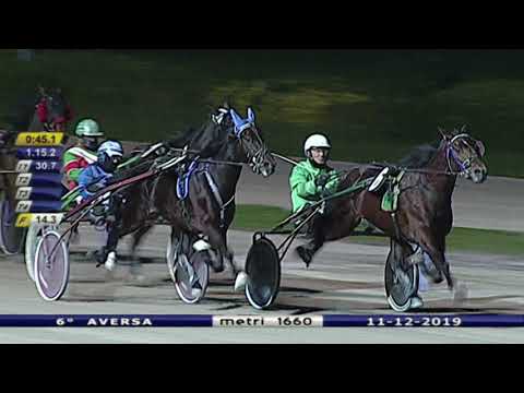 Aversa trotto 11 Dicembre 2019 - 6° Corsa