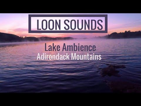 LOON Sounds ~RELAX With The Sounds Of The Loons Nestled In The Adirondack Mountains ~2HOURS