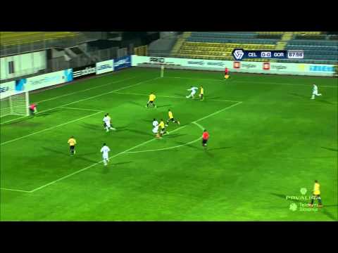 17. krog : Celje - Gorica 2:0, Prva Liga Telekom Slovenije 2014/15