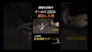 イーユイ捕まらなすぎて禁断の方法で捕まえようとした件