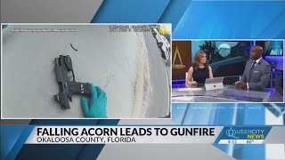 What's next for officer who mistook acorn for gunfire