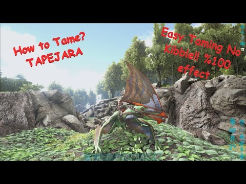 Tapejara How To Tame ? No Kibble !! No camouflage  %100 effect Easy Fast Tame  Ark Survival Evolved
