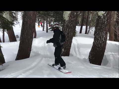 2019-01-17+: Squaw Snowboarding Trip with Cam