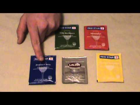 download lagu mp3 mp4 Active Dry Yeast For Wine, download lagu Active Dry Yeast For Wine gratis, unduh video klip Active Dry Yeast For Wine