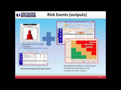 Integrated Project Risk Analysis