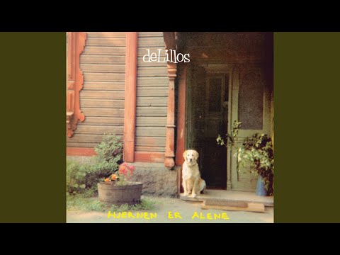 # - Vaar - deLillos