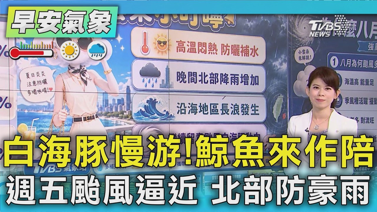 天氣/白海豚慢游!鯨魚來作陪 週五颱風逼近 北部防豪雨 ｜氣象主播 謝宜倫｜早安氣象｜TVBS新聞 20260805 @TVBSNEWS01