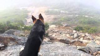 Magical Mystery Tour on Franconia Ridge with Amazing Sunset on the Old Bridal Path