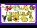 பழங்களின் பெயர்கள் Learn Fruit Names In Tamil For Kids Tamilarasi