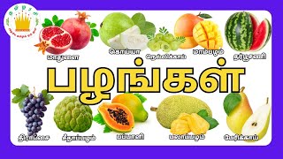 Download lagu பழங்களின் பெயர்கள்🍎🍌🍇 - Learn Fruit Names in Tamil for Kids | Tamilarasi mp3 Download lagu பழங்களின் பெயர்கள்🍎🍌🍇 - Learn Fruit Names in Tamil for Kids | Tamilarasi mp3