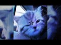 Best Friend Rex Orange County Edit Audio